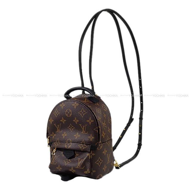 Louis Vuitton Palm Springs Backpack Mini M41562– TC