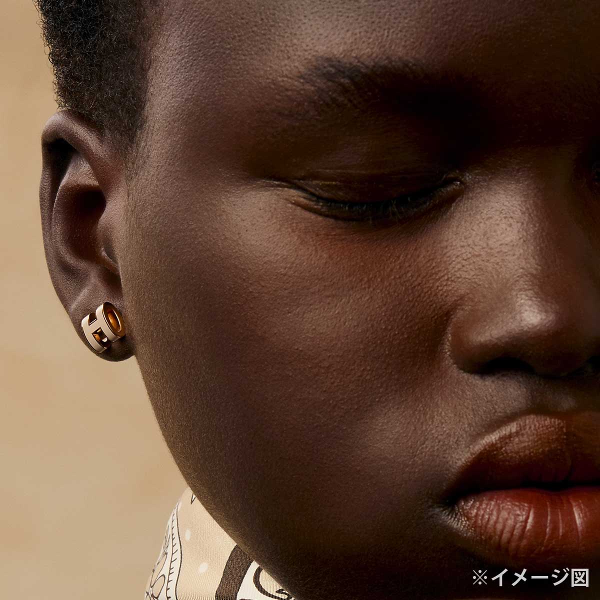 HERMES エルメス ピアス ミニ ポップアッシュ イヤリング マロン