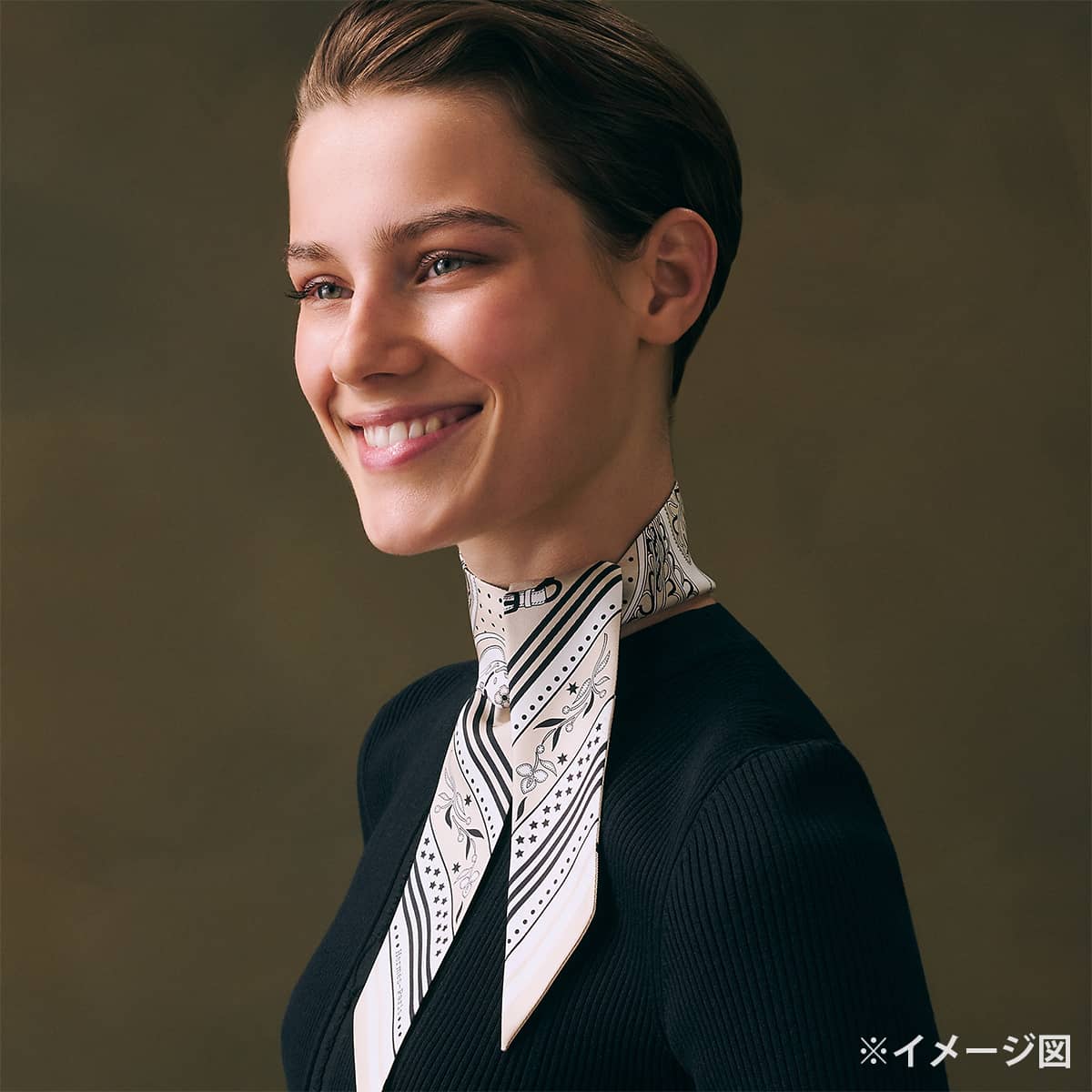 HERMES エルメス スカーフ ツイリー アマゾンの祭典 バンダナ